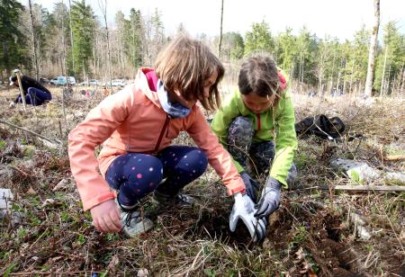 POGOZDOVANJE V RAKOVEM ŠKOCJANU 26 FOTO LJUBO VUKELIČ